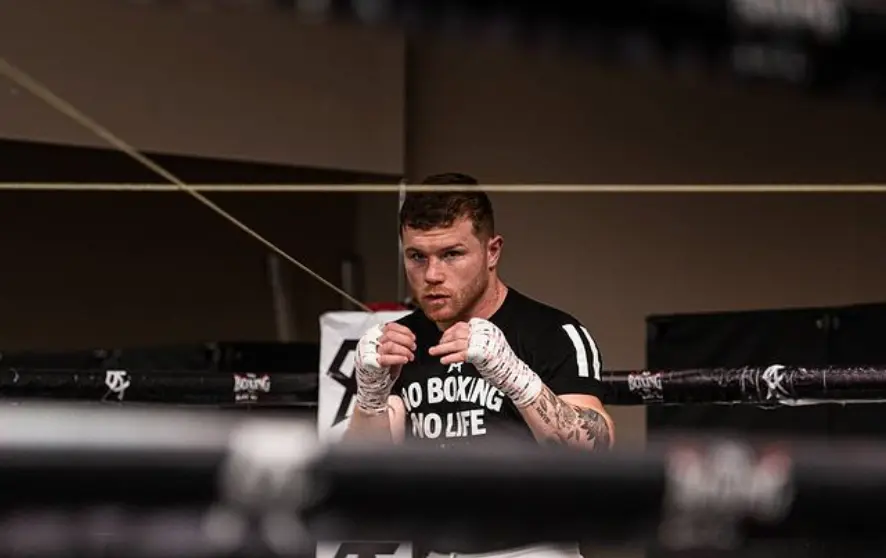 Instagram @canelo