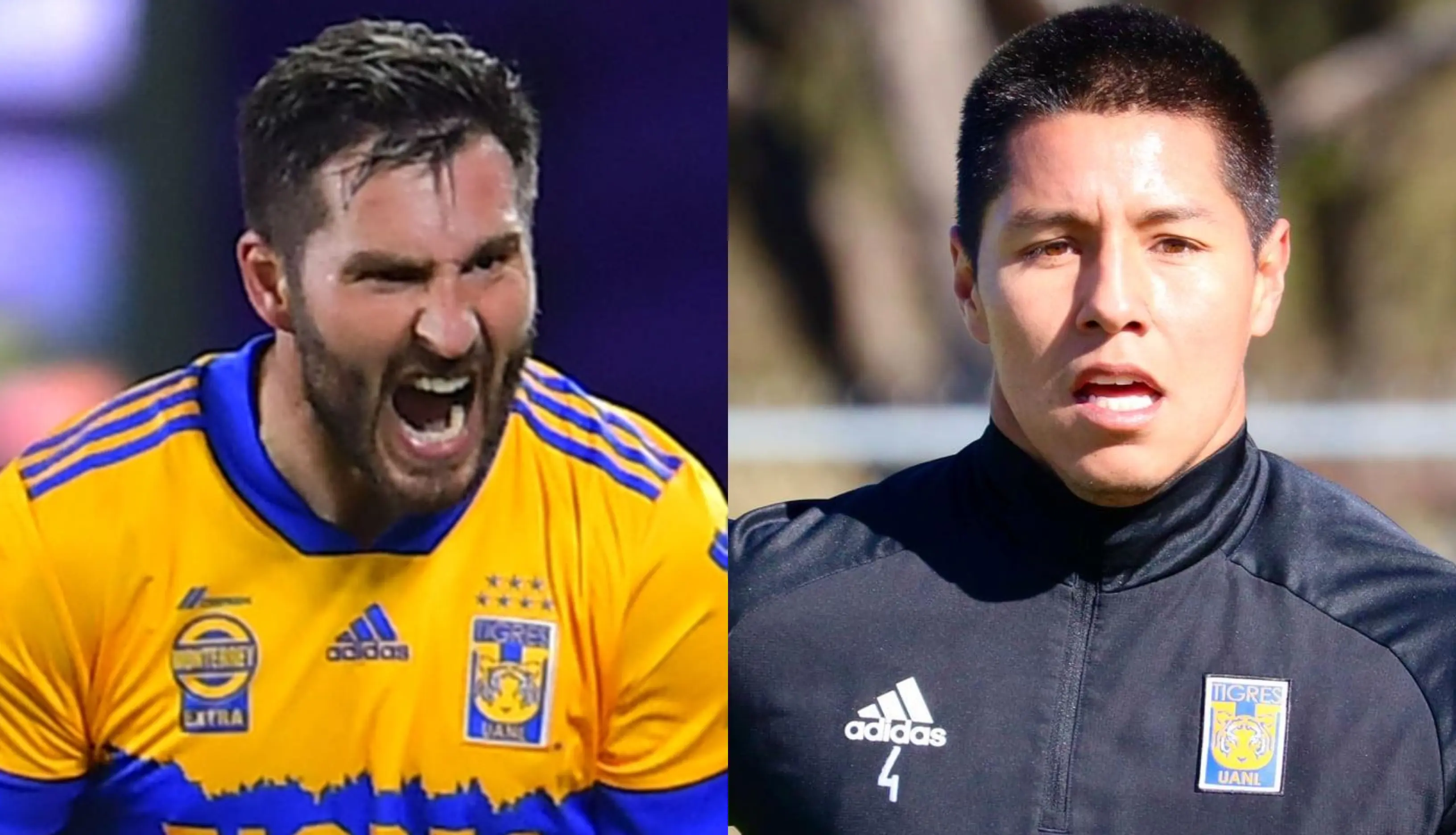 Facebook Tigres Oficial