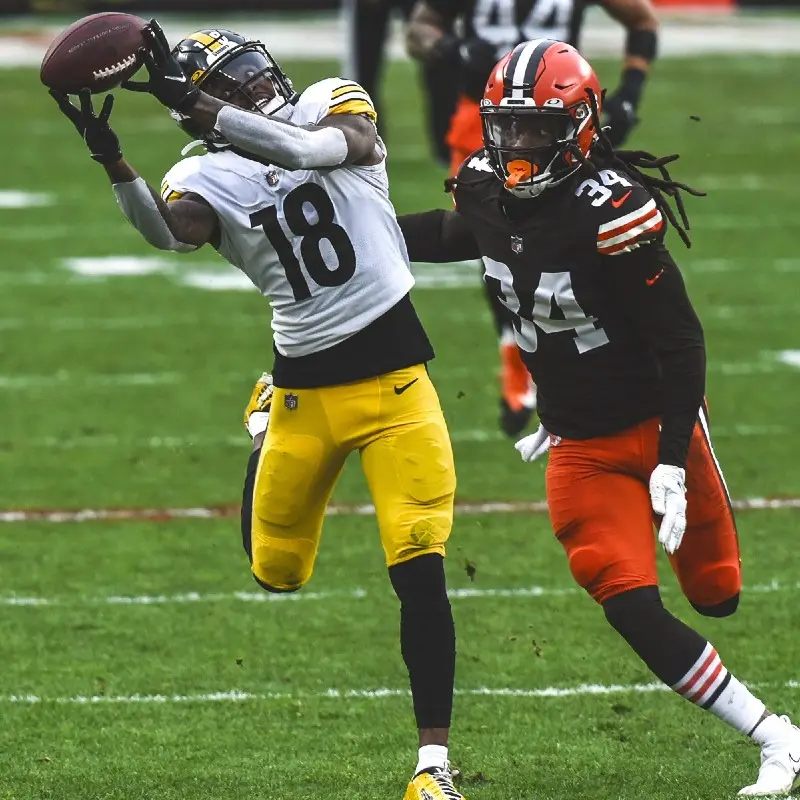 Pittsburgh Steelers vs Cleveland Browns