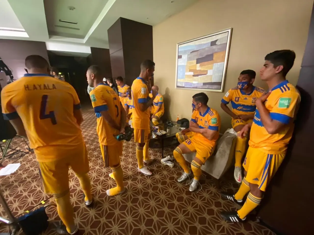 Facebook @tigresoficial