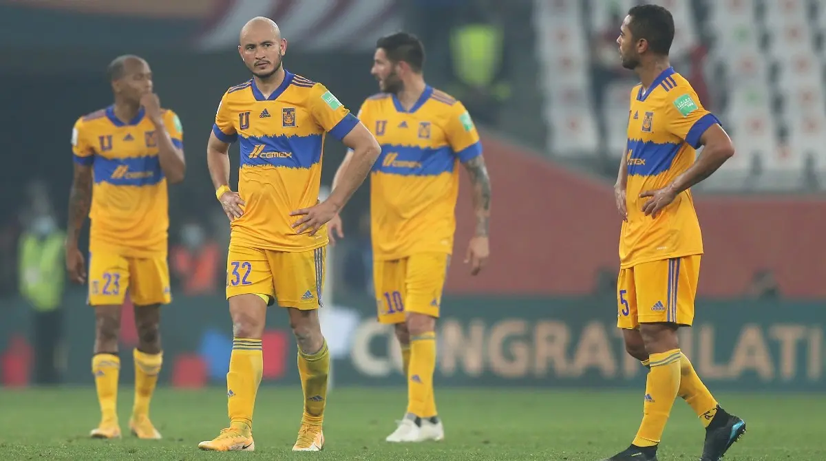Asegura que son insultados en los estadios (FB: Tigres Oficial)