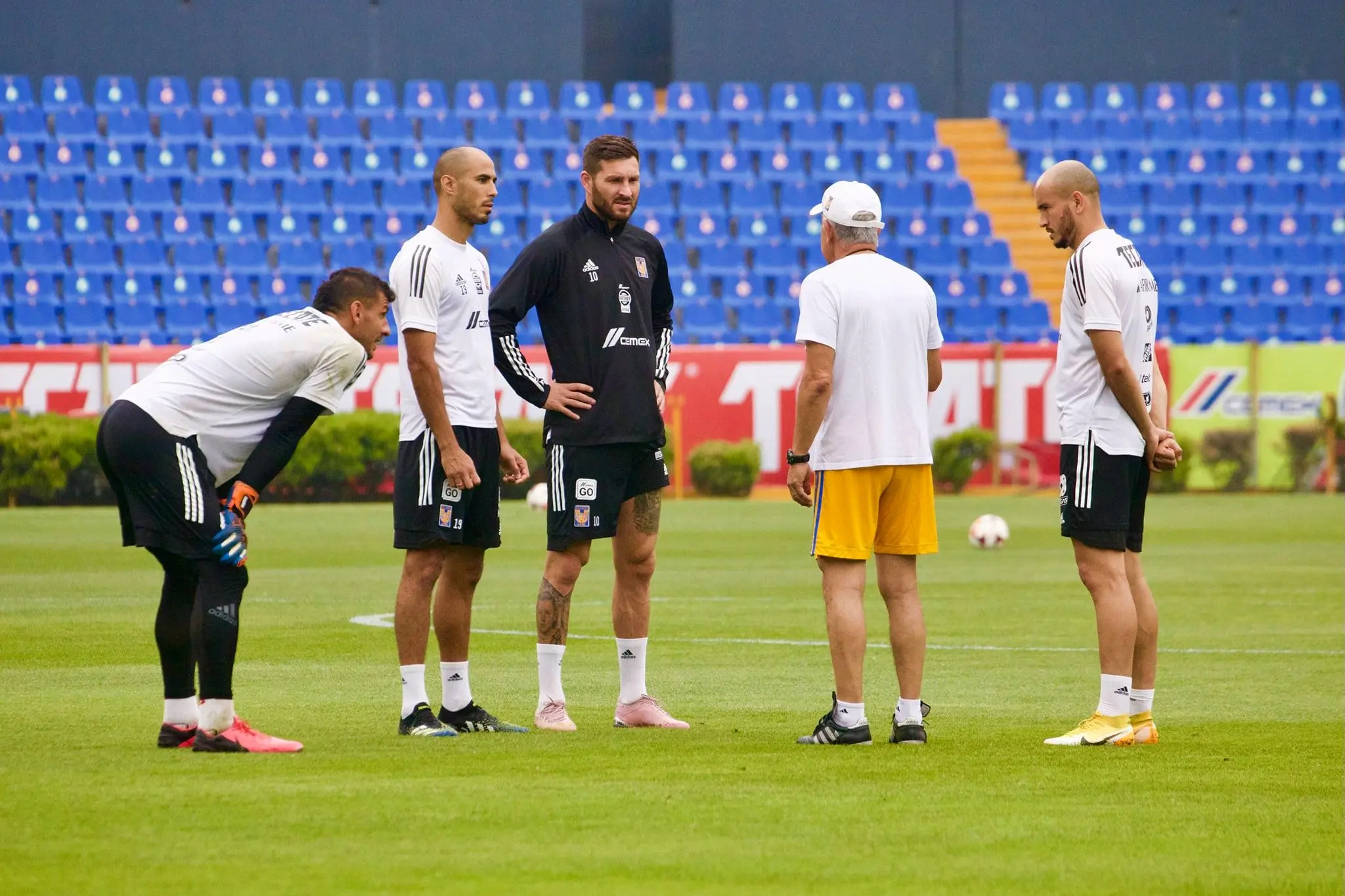 Facebook @tigresoficial