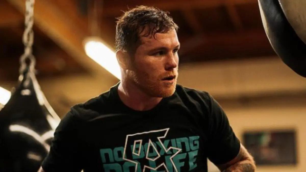 Instagram @canelo