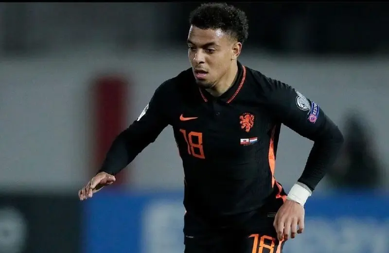 Malen en un partido con Holanda - @donyellmalen