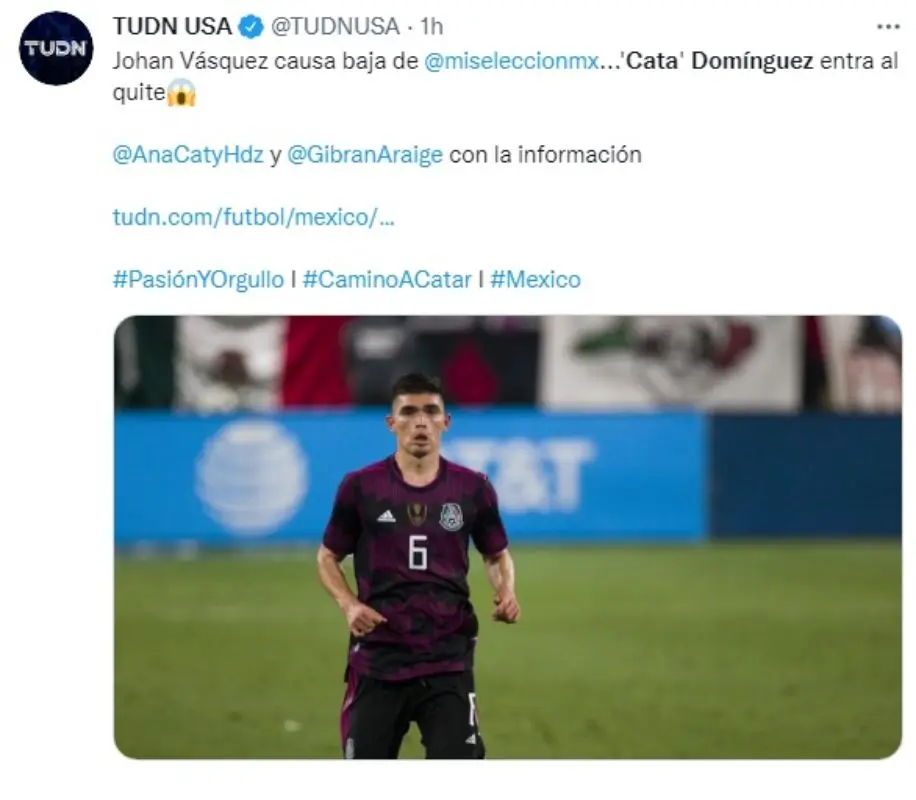 El futbolista del Genoa no asistirá al llamado de Gerardo Martino para el inicio de las eliminatorias mundialistas. Foto: Twitter.