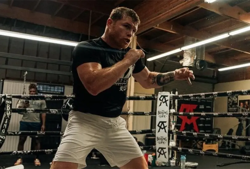 Ellos son los hijos del Canelo &Aacute;lvarez, el multicampe&oacute;n del boxeo mexicano