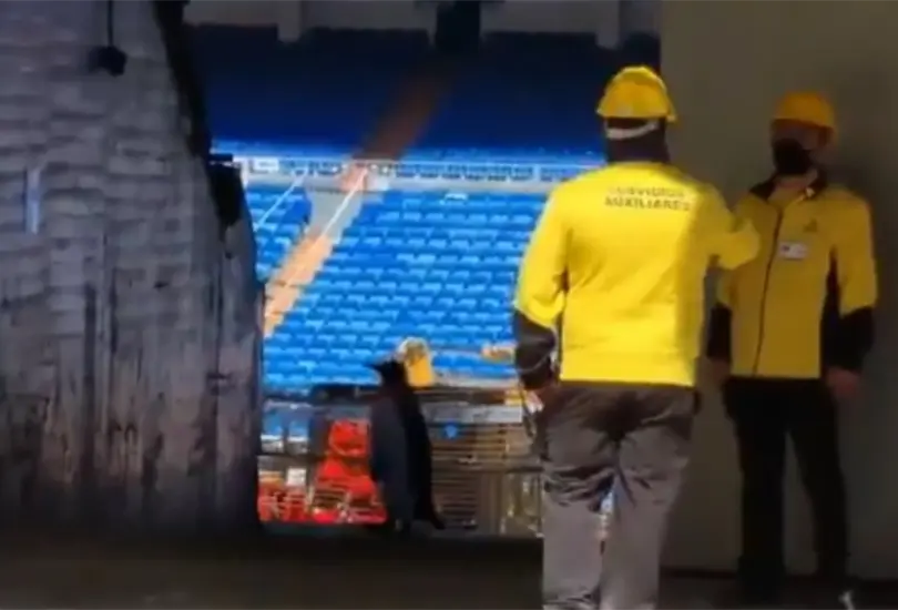 &iquest;Ping&uuml;inos en el Santiago Bernab&eacute;u? Im&aacute;genes se viralizan en redes