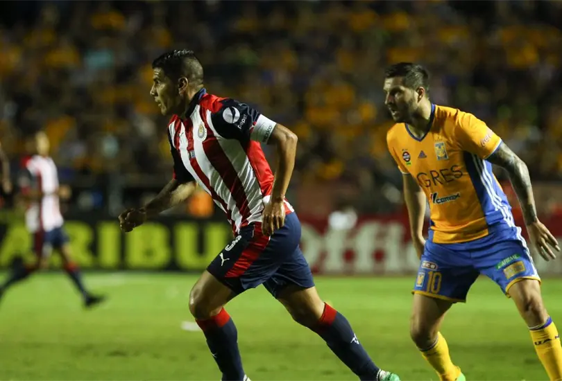 Gignac, eres tu propio enemigo: Salcido lo critica por comentarios sobre los mexicanos