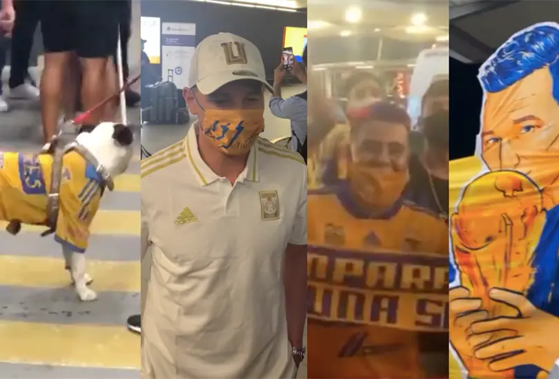 Thauvin enloquece a los aficionados de Tigres tras llegar a Nuevo León Thauvin enloquece a los aficionados de Tigres tras llegar a Nuevo León
