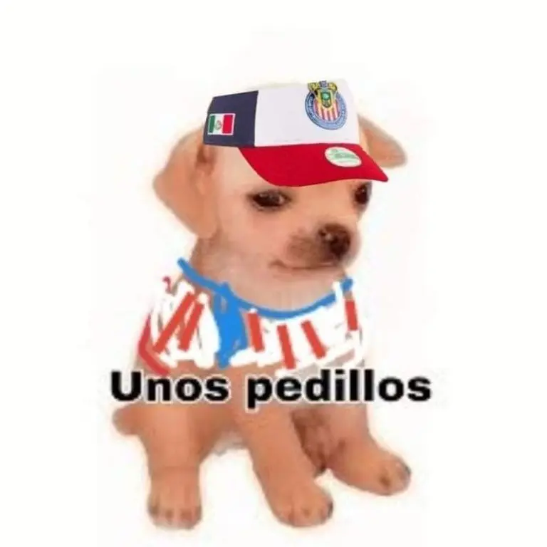 Especial