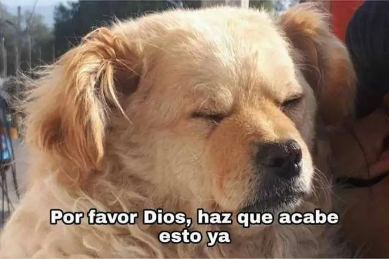 Especial