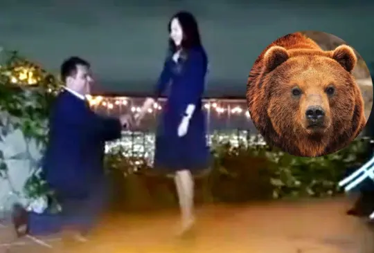 Los novios se llevaron una sorpresa al momento de ver pasar al oso frente a ellos.