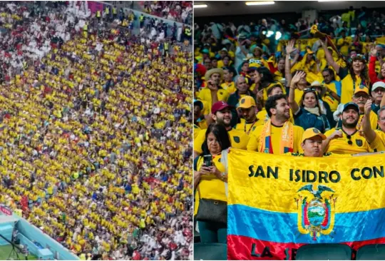 Los fans de Ecuador hicieron su partido en las tribunas. Los fans de Ecuador hicieron su partido en las tribunas.