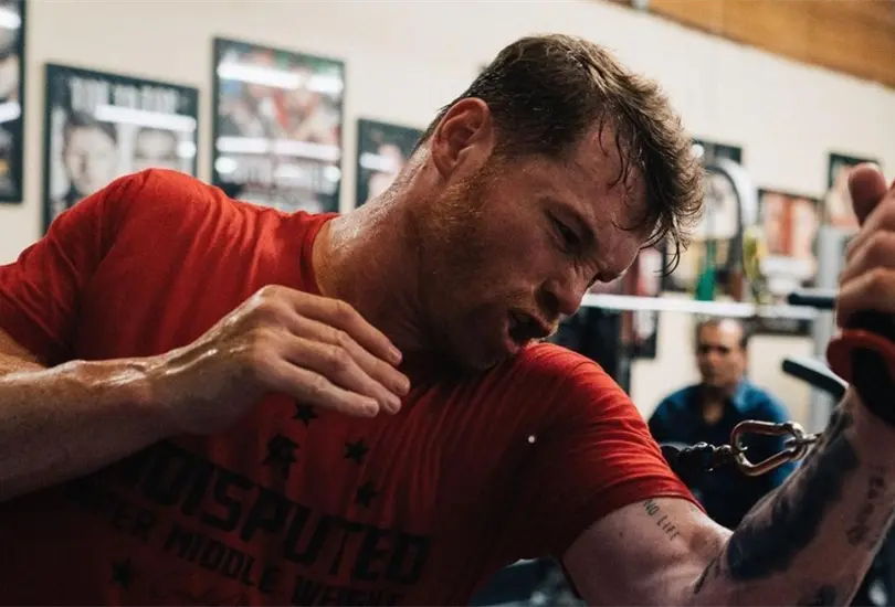 Canelo &Aacute;lvarez finalmente se oper&oacute; la mano izquierda.