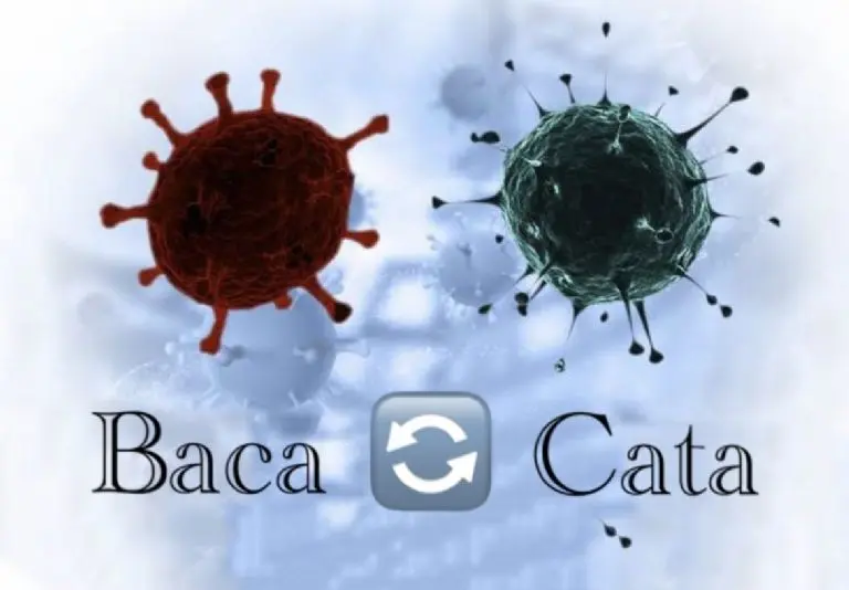 Captura de pantalla.