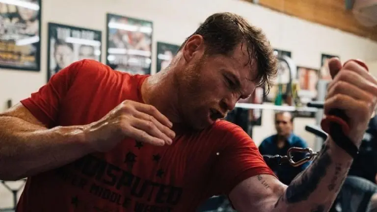 Saúl Canelo Álvarez es el mejor boxeador mexicano de la actualidad. Saúl Canelo Álvarez es el mejor boxeador mexicano de la actualidad.