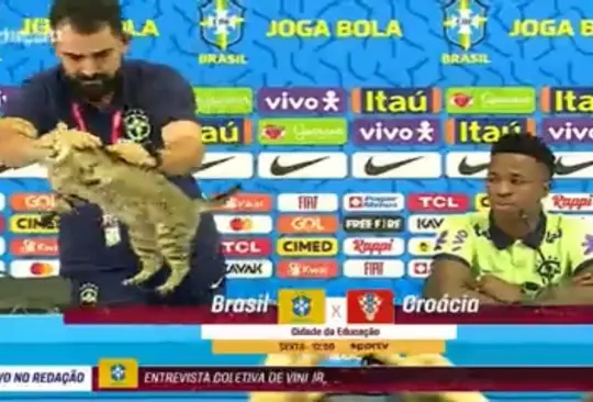 El jefe de prensa de Brasil aventó a un gato que interrumpió la rueda de prensa de Vinicius jr