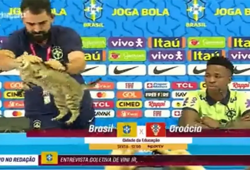 El jefe de prensa de Brasil avent&oacute; a un gato que interrumpi&oacute; la rueda de prensa de Vinicius jr