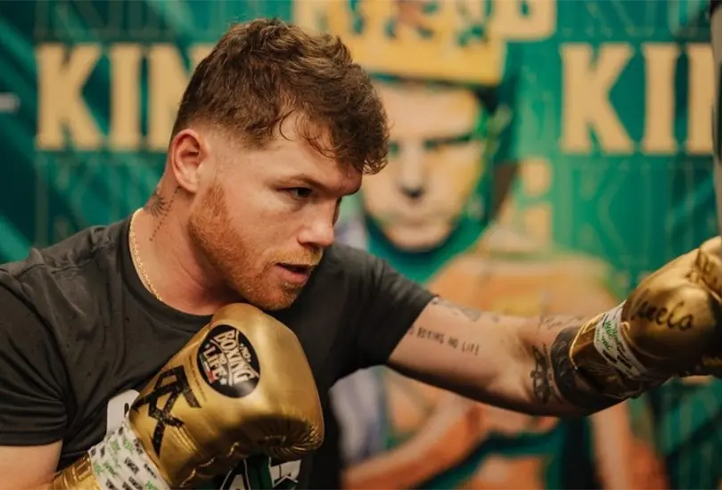 Sa&uacute;l &acute;Canelo&acute; &Aacute;lvarez lleva 17 a&ntilde;os peleando sobre el ring, y en este tiempo ha recibido desde aplausos hasta cr&iacute;ticas, mismas que parecen no hacerle ning&uacute;n da&ntilde;o. 
