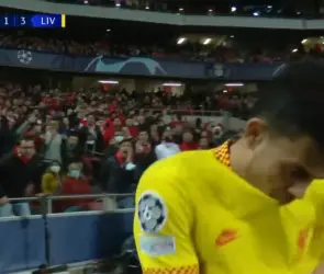 Aficionado intentó agredir a Luis Díaz lanzándole un palo