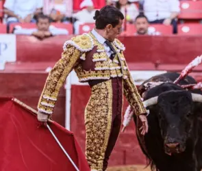 ¿Por qué se prohibieron las Corridas de Toros en la Plaza de Toros México?