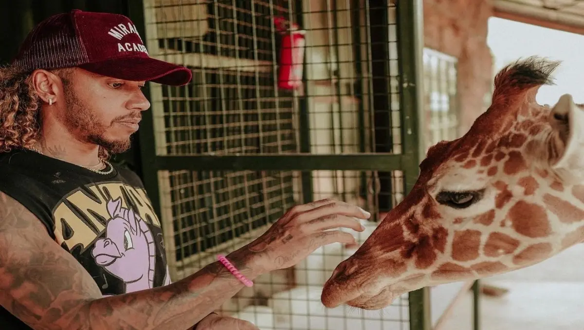 Además, el británico visto en Kenia un Santuario donde convivió con diferentes animales, casi como un safari. 