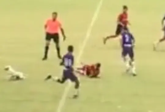 El perrito se metió a la cancha de manera espontánea y tiro a uno de los futbolistas del partido. 