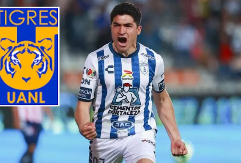 Tigres volver&aacute; a reventar el mercado de la Liga MX al desembolsar una gran cantidad de dinero para hcerse de los servicios de Nicol&aacute;s Ib&aacute;&ntilde;ez.