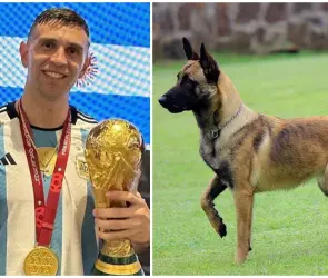 ¿Cuánto cuesta el pastor belga que compró el ´Dibu´ Martínez para proteger a su familia?