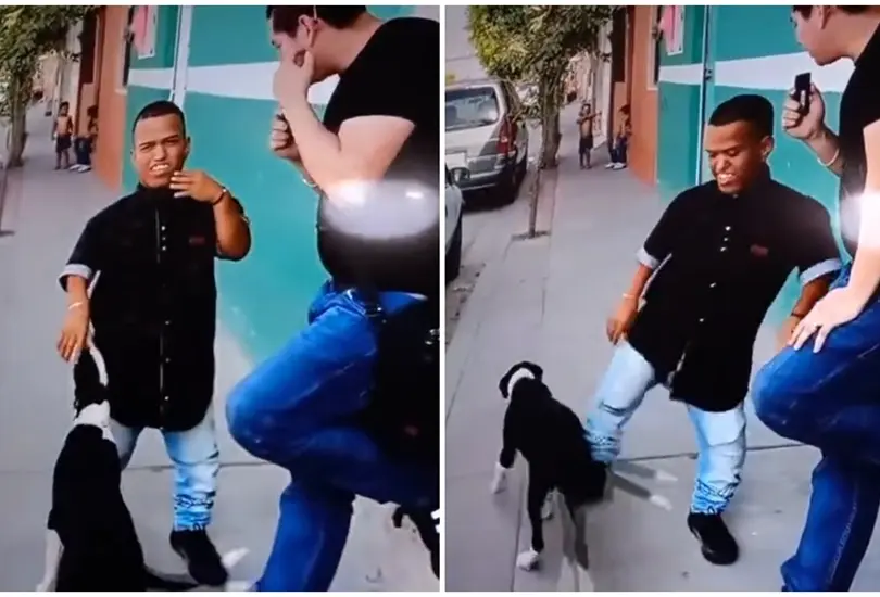 Medio Metro est&aacute; envuelto en una nueva pol&eacute;mica despu&eacute;s de que fue captado pateando a un perro durante una entrevista.