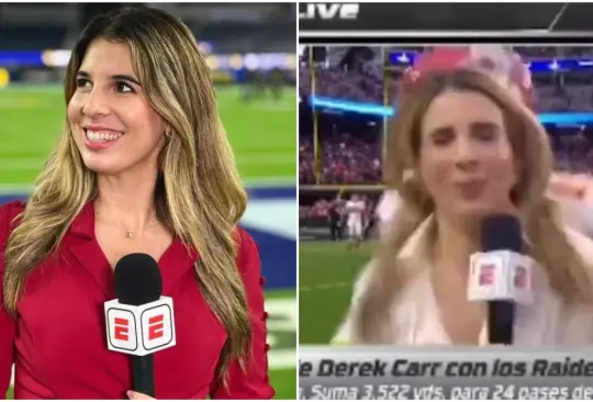 La comunicadora de ESPN sufrió un impacto este domingo durante su cobertura de la NFL.