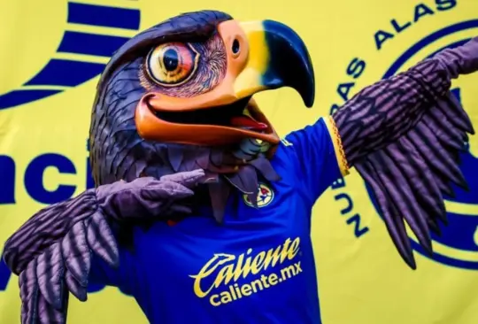El Ame es el equipo con más historia dentro de la Liga MX. El Ame es el equipo con más historia dentro de la Liga MX.