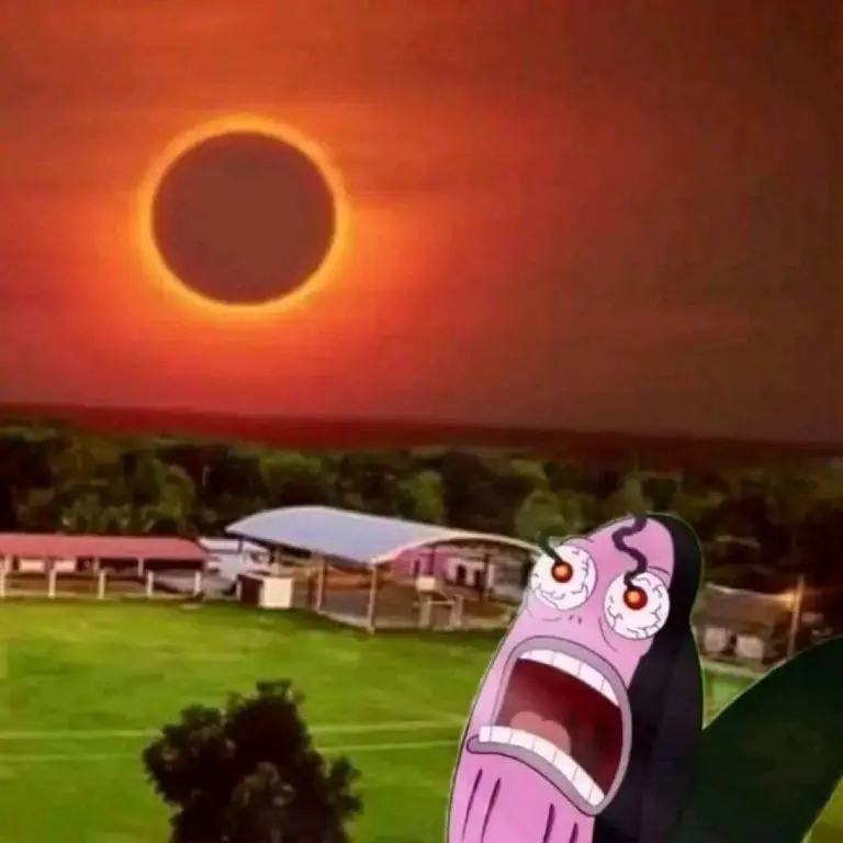 Captura de pantalla de los memes del eclipse solar.