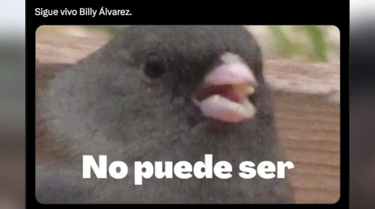Billy Álvarez: Los mejores memes de la reaparición del expresidente de Cruz Azul