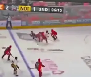 Jugador de hockey muere tras tener accidente con un patín (VIDEO)