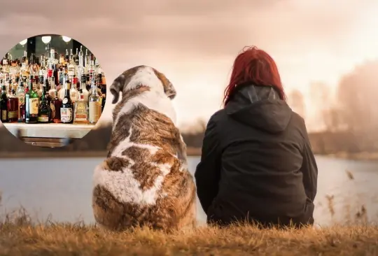 Una mujer quedó sorprendida al ver el estado de su perro luego de abrir unas botellas de bebidas alcohólicas