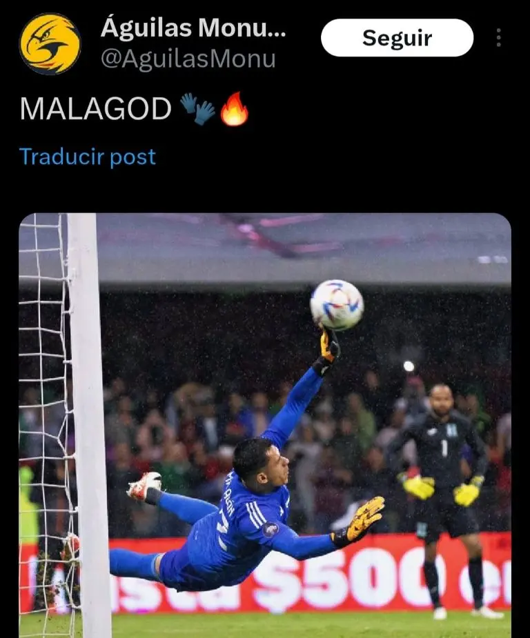 Captura de pantalla del nuevo apodo de Malagón.