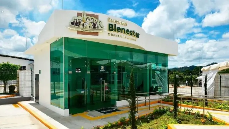 Durante todo noviembre se dará el último pago de la Pensión Bienestar. (Especial)