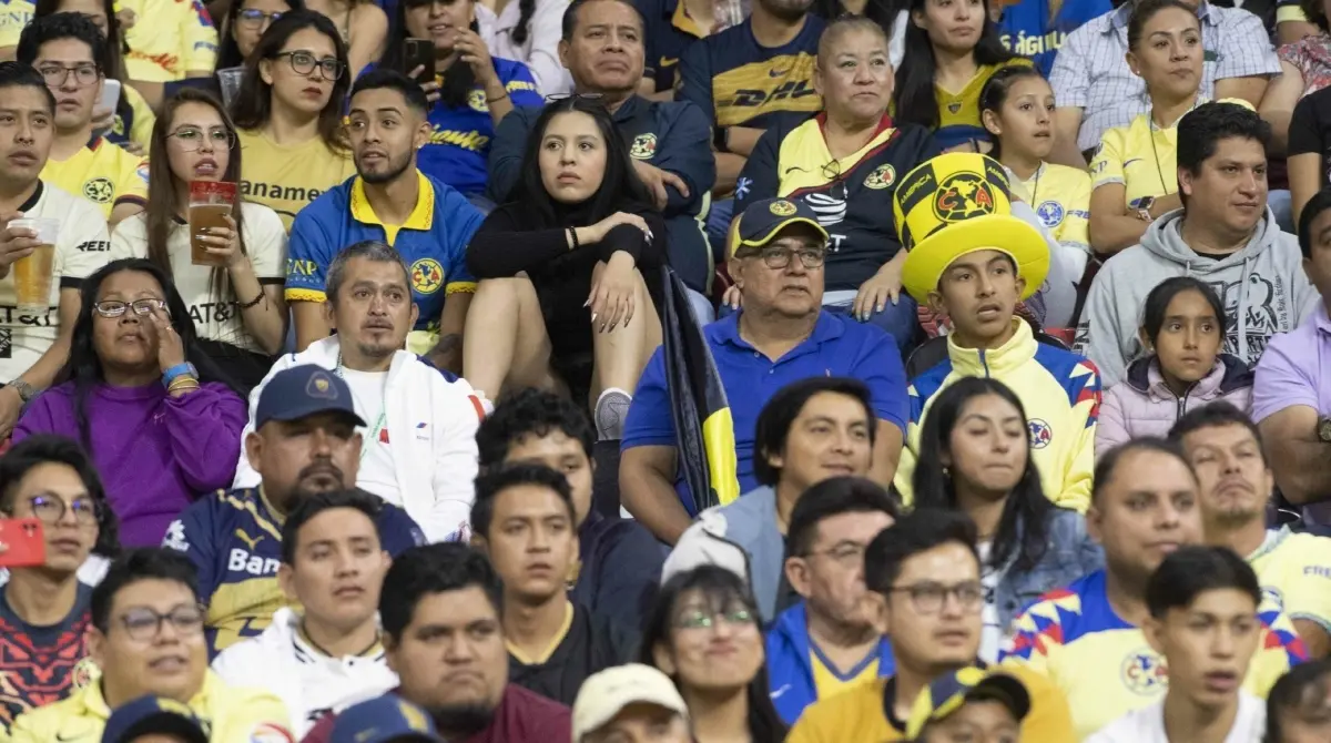 La afici&oacute;n del Am&eacute;rica es bastante extensa, ya que no solamente tiene alcance dentro de M&eacute;xico sino que tambi&eacute;n en el extranjero.