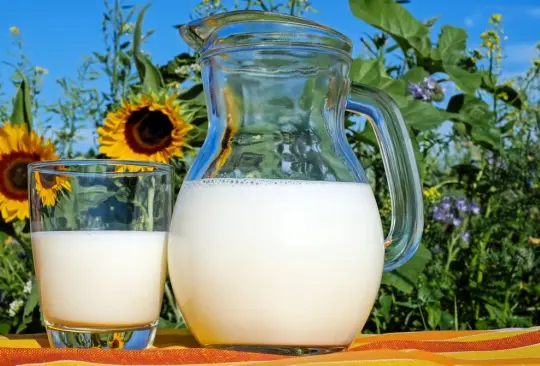 Tomar leche en ayunas puede acarrear varias consecuencias.