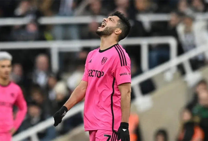 El DT de Fulham sali&oacute; a la defensa de Ra&uacute;l Jim&eacute;nez por su expulsi&oacute;n ante Newcastle