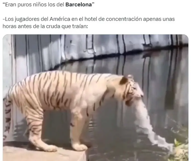 Redes Sociales