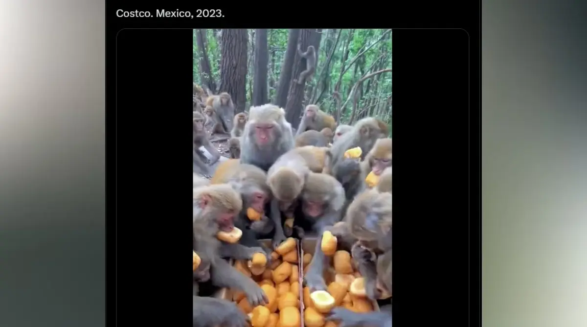 FOTOS | Costco se lleva los memes por compras de pánico para Nochebuena