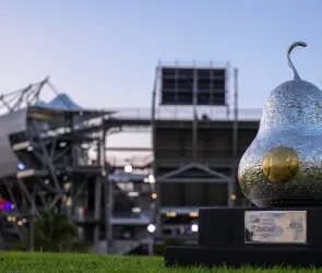 Abierto Mexicano de Tenis: La millonaria cifra que se lleva el ganador del torneo