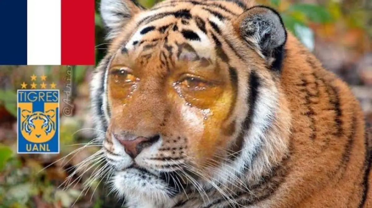 Chivas vs Tigres: Los mejores memes de la victoria 'rojiblanca' sobre los 'felinos'