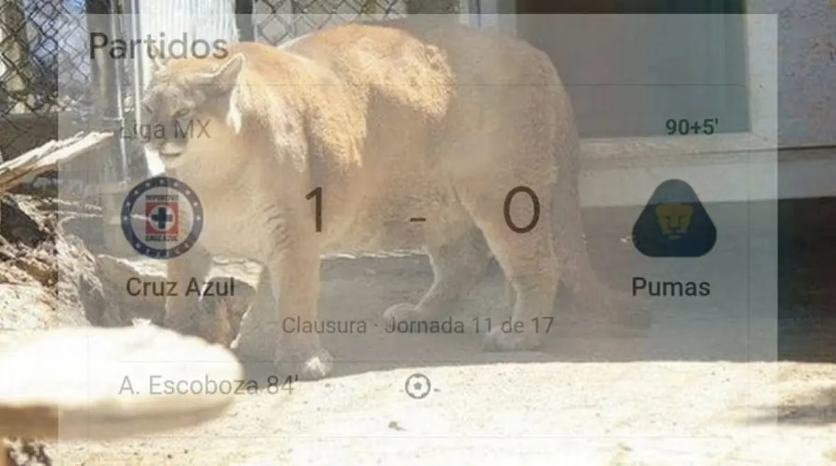 Los memes que dejó la victoria de Cruz Azul sobre Pumas en el Estadio Azteca