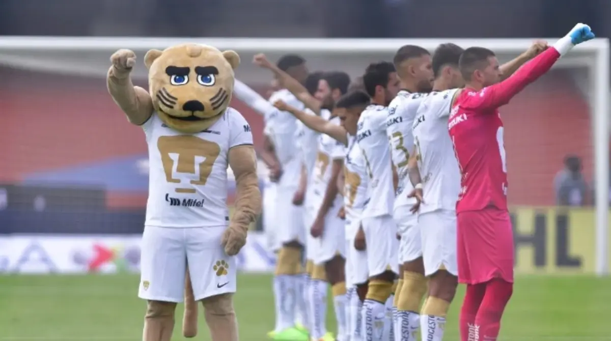 Ya que los Pumas de la UNAM pertencen al patronato de la Universidad Nacional Aut&oacute;noma de M&eacute;xico, una de las m&aacute;s grandes del continente, su mascota, nombre y sus colores le pertenecen a la casa de estudios que por medio de una Asamblea elige al Presidente que toma las decisiones del equipo, y actualmente es Leopoldo Silva.