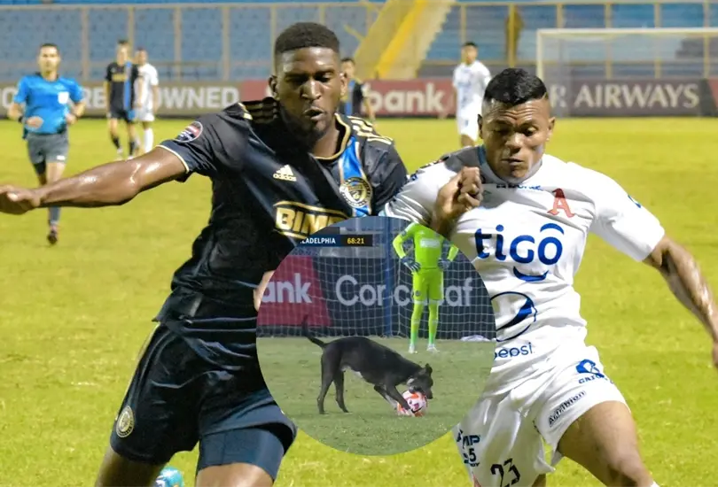Un perro interrumpi&oacute; las acciones de un partido de la Concachampions 2023.