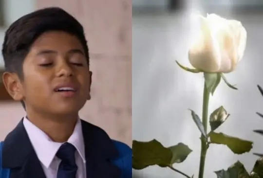 La Rosa de Guadalupe se ha caracterizado por su airecito.