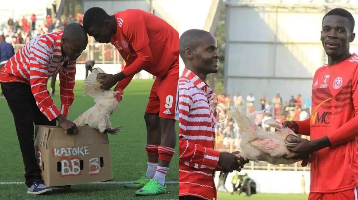 Durante 2019, Hassan Kajoke fue protagonista en la goleada 5-0 por parte del Nyasa Big Bullets vs Karonga United por la Liga de Malawi. El atacante fue reconocido como MOTM con una gallina viva, misma que le fue entregada por uno de los aficionados presentes en el estadio.
